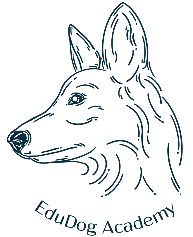 EduDog Academy