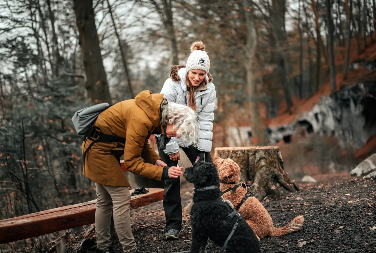Zwei Frauen kümmern sich im Wald bei einer Holzbank um einen schwarzen und einen aprikotfarbenen Hund
