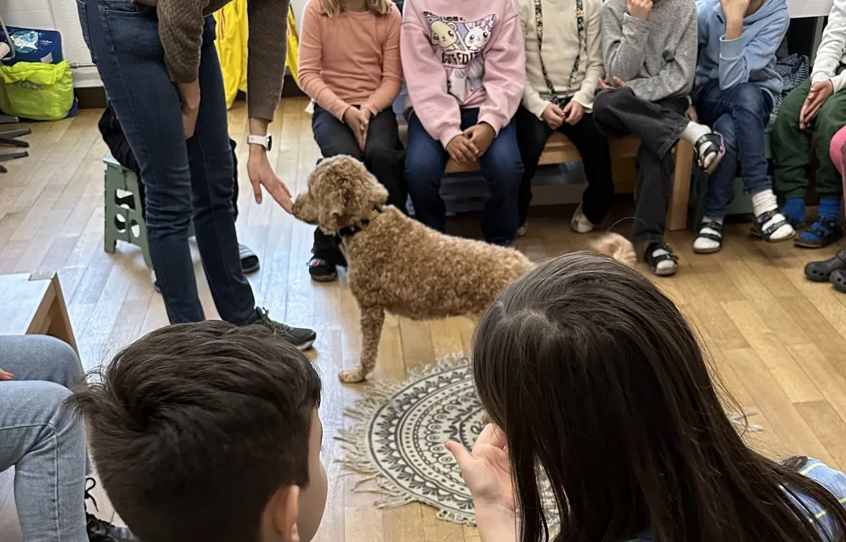 Ein Schulhund geht im Sitzkreis auf Kinder zu, die auf Bänken im Klassenzimmer sitzen und ihn beobachten