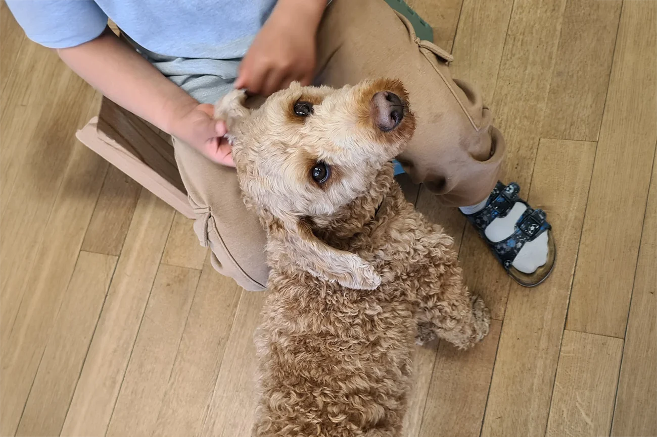 Ein Kind sitzt auf dem Holzboden und streichelt einen Hund, der zu ihm hochschaut